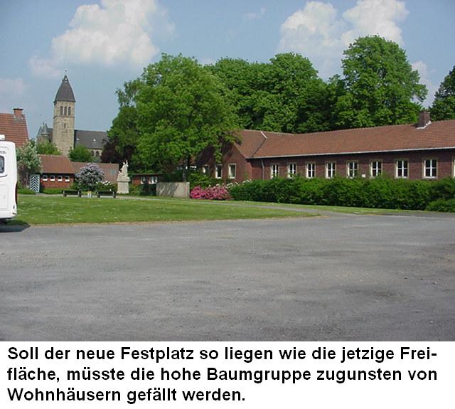 Bäume auf dem Johannesschulgelände