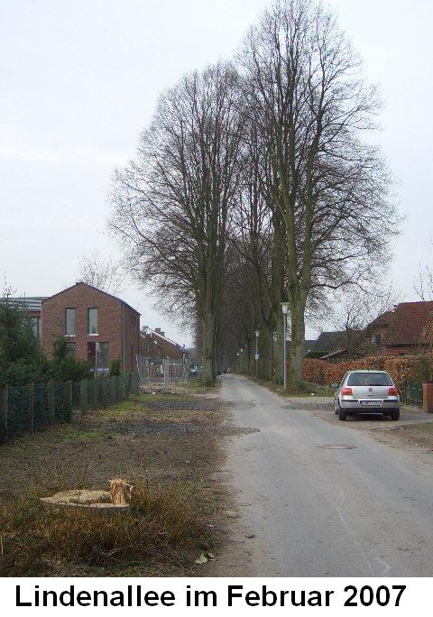 Lindenallee