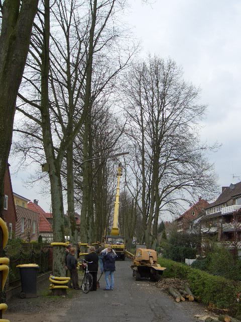 Jakobilwall-April-2007