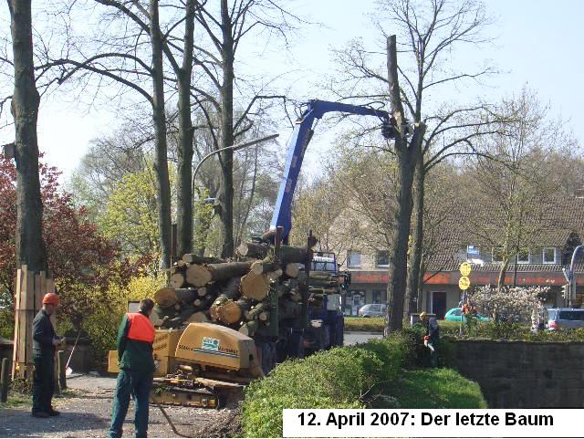 Der letzte Baum
