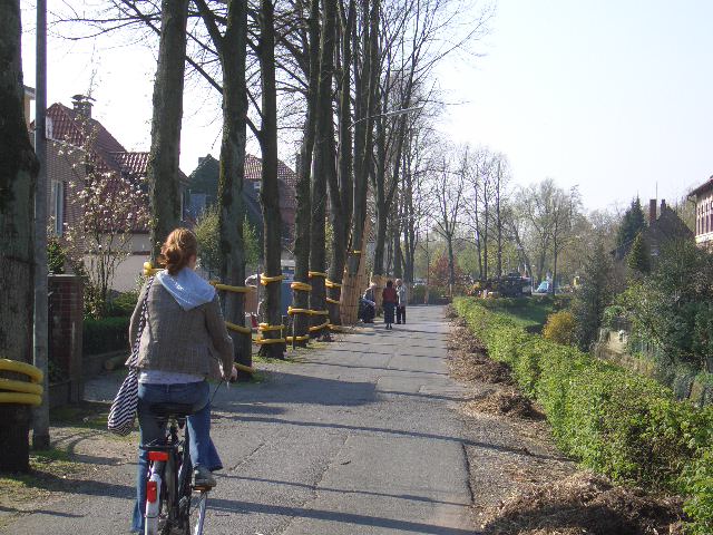 Jakobiwall ohne Bäume