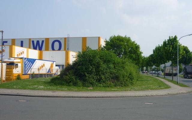 Grünstreifen am Dreischkamp