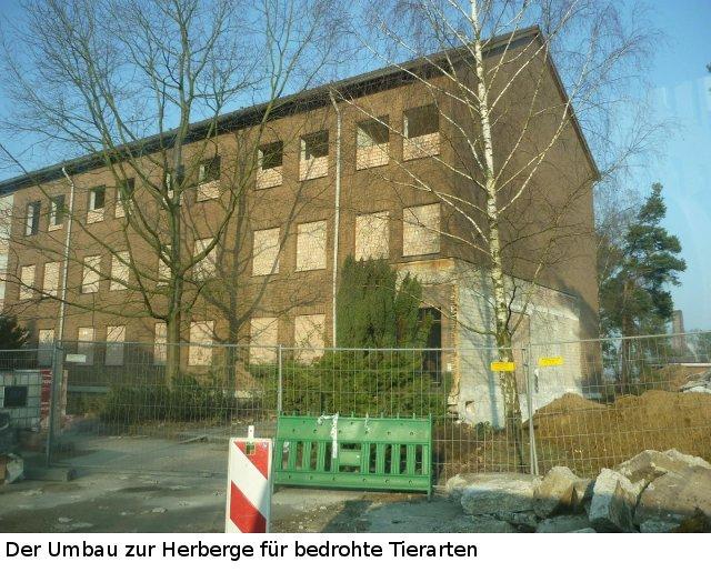 Die "Grüne Mitte" des Gewerbegebietes