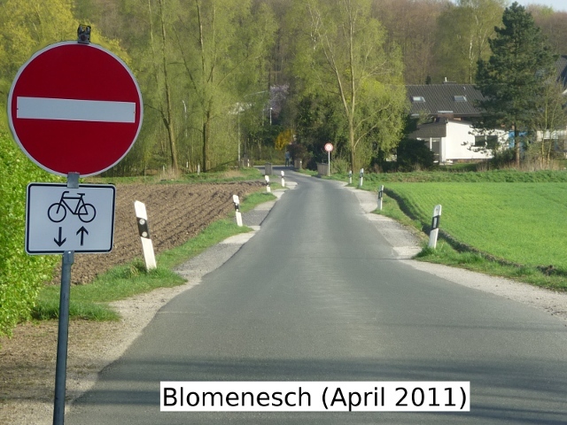 Blomenesch