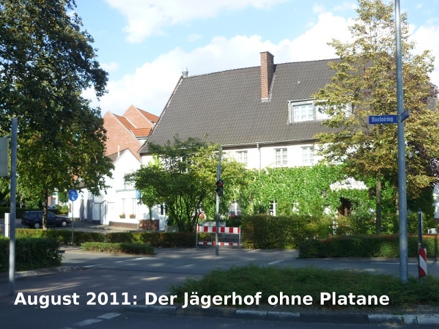 Jägerhof ohne Platane